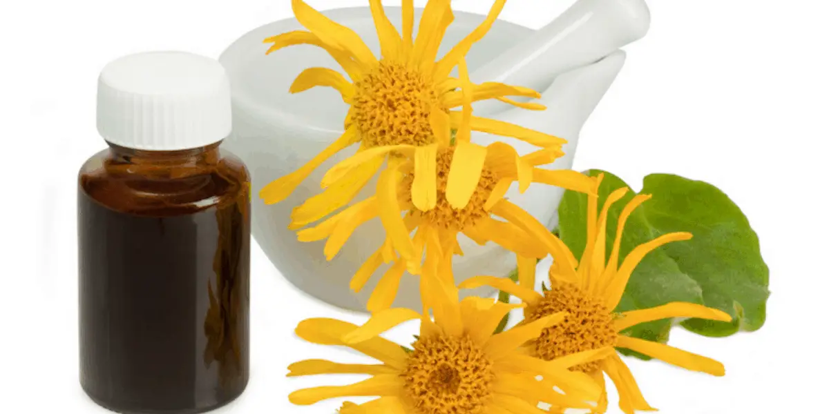 Arnica Oil