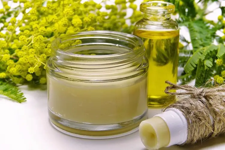 Hazelnut Oil for Skin Care