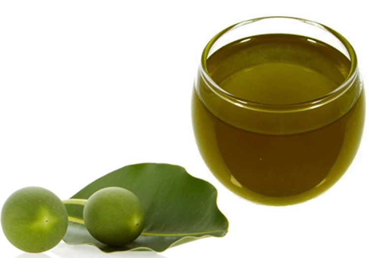 Tamanu-Oil-for-Skin Tamanu Oil for Skin