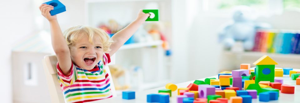 Child Playing with Toys